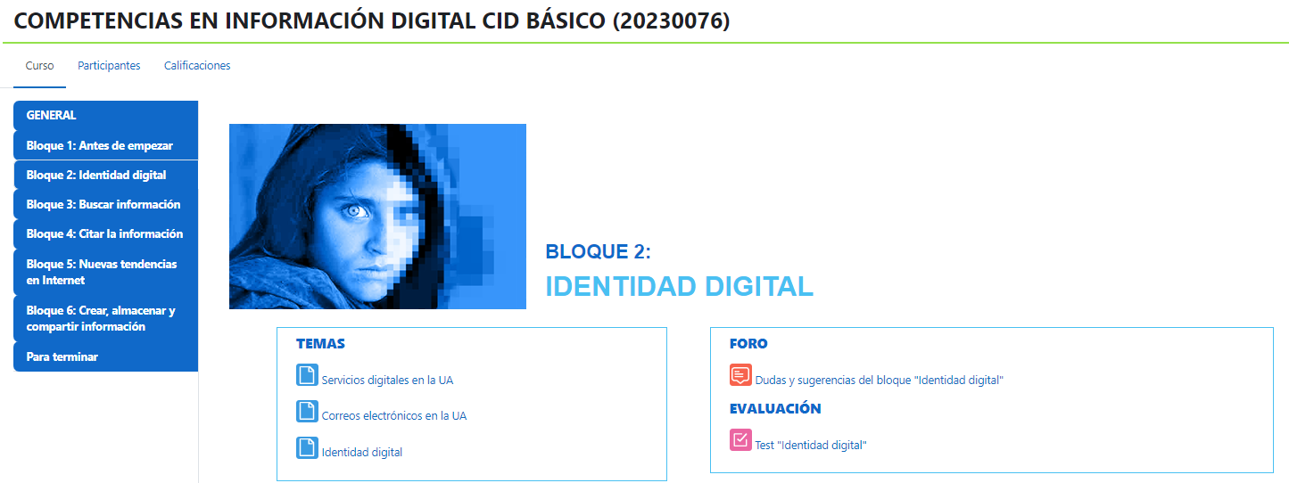Contenido de los bloques temáticos