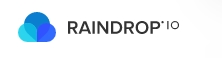 raindrop logo