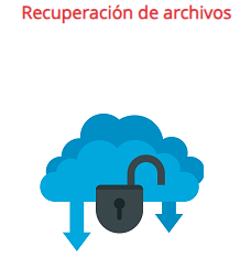 Recuperación de archivos