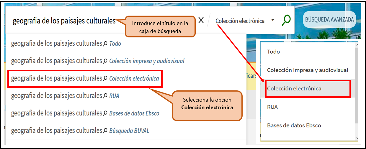 Captura de pantalla mostrando cómo buscar el libro electrónico "Geografía de los paisajes culturales" utilizando la búsqueda básica del catálogo, seleccionando la opción "Colección electrónica"