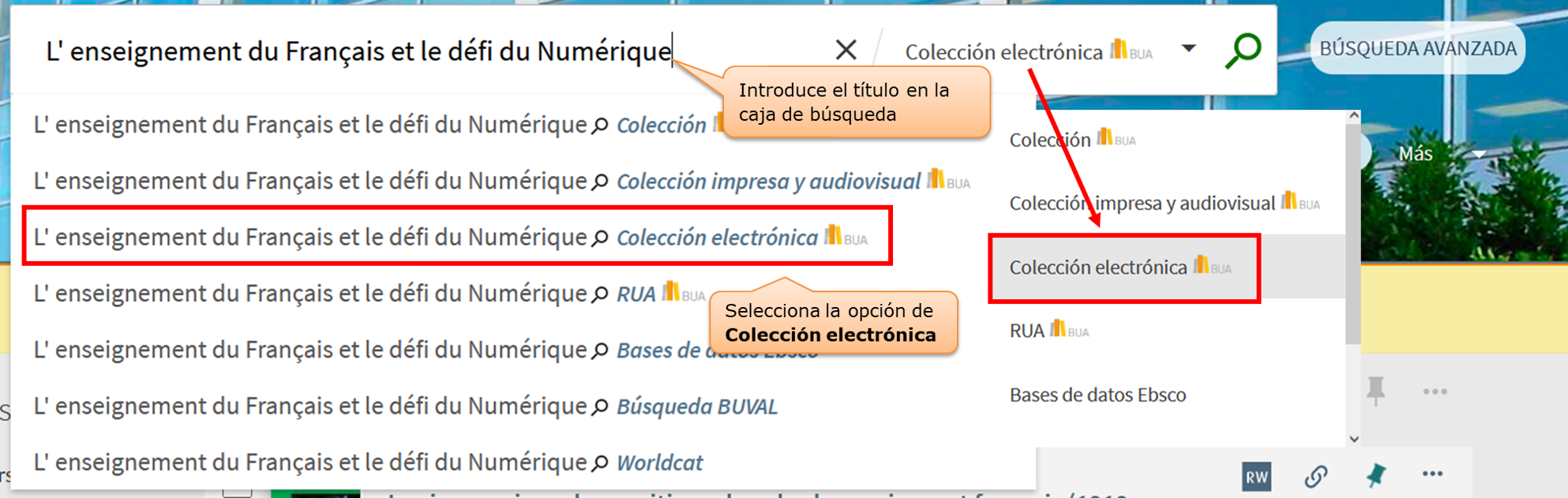 Captura de pantalla mostrando cómo buscar el libro electrónico "L'enseignement du Français et le défi du Numérique" utilizando la búsqueda básica del catálogo, seleccionando la opción "Colección electrónica" 