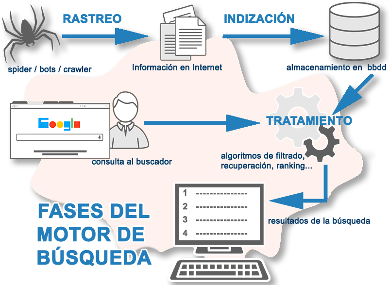partes y fases de un buscador