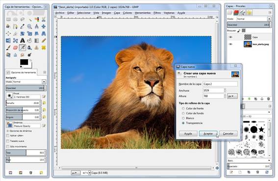 pantallazo photoshop